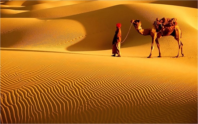 Thar Desert