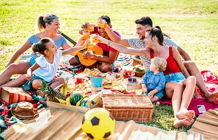 Picnic with family