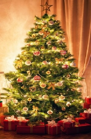 Christmas-Tree