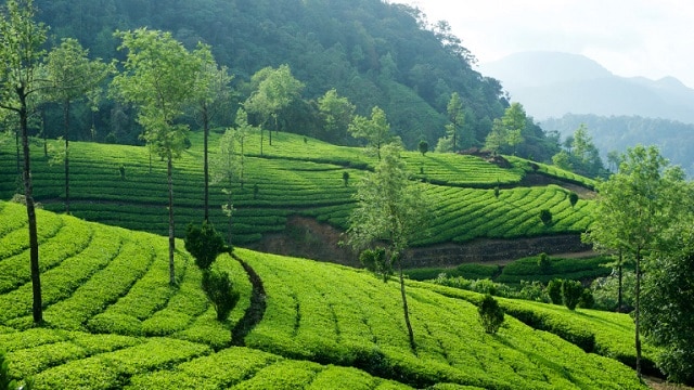 Munnar