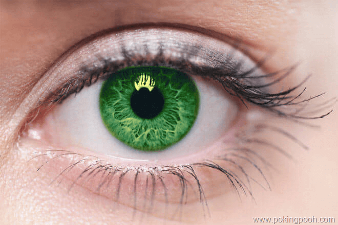 Colorful Contact Lenses