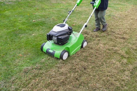 Aerate the Lawn